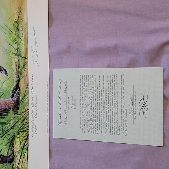 Backyard Buddy Raccoon Limited Edition Print - Picture 2 of 2